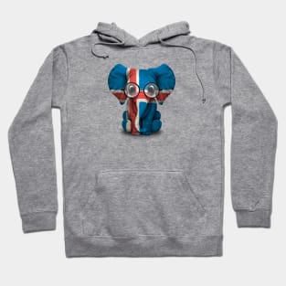 Baby Elephant with Glasses and Icelandic Flag Hoodie